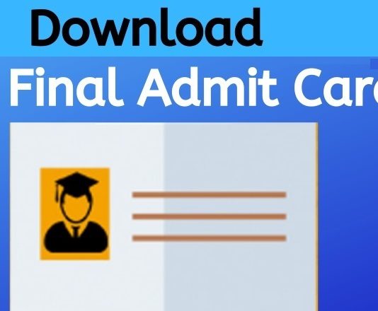 CA Final Admit card