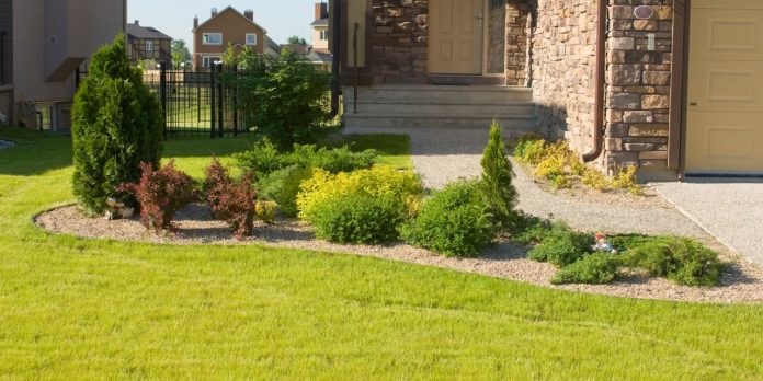 How To Keep Your Turf Green And Healthy