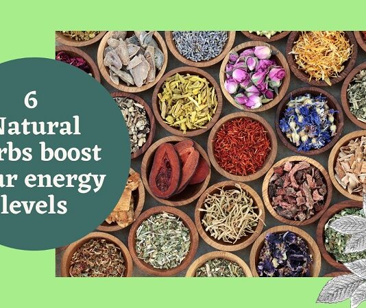 6 Natural Herbs Boost Your Energy Levels