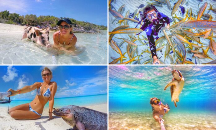 Woman Beats Depression By Being Friends With Sharks, Pigs And Stingrays