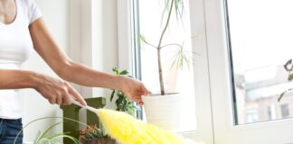 4 Cleaning Tips to Make Your Home Shine