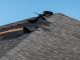 Repair a Roof