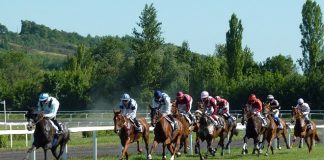 Horse Racing an Exciting Sport