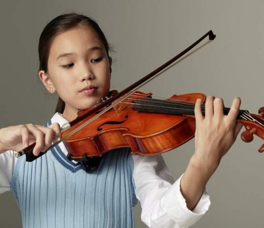 Features Of The Violin