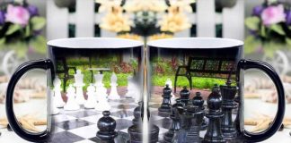 Best Gifts for Chess Players 2021