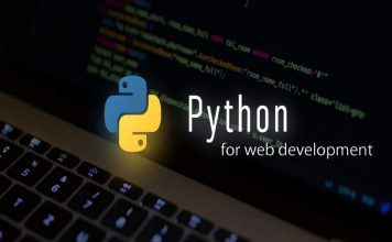 Pros & Cons of Using Python for Web Development