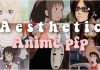 Aesthetic anime pfp