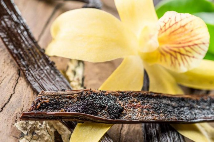 Where Does Vanilla Flavoring Come From