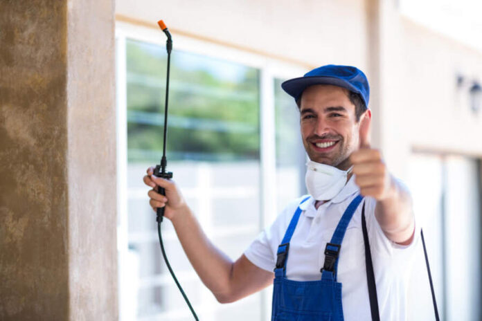 Why Choose Professional Pest Control