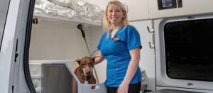 Make a brand in mobile dog grooming near me