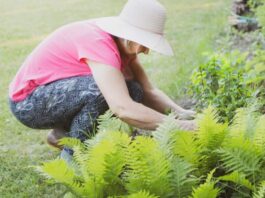 The 5 Most Annoying Things You’ll Encounter While Gardening