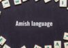 Amish Language