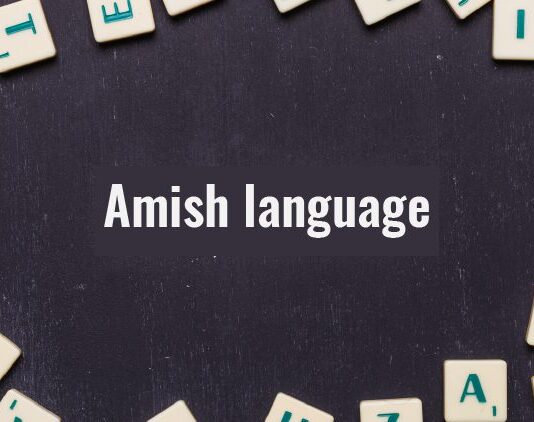 Amish Language