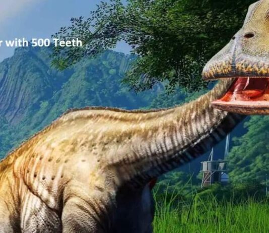 Dinosaur with 500 Teeth