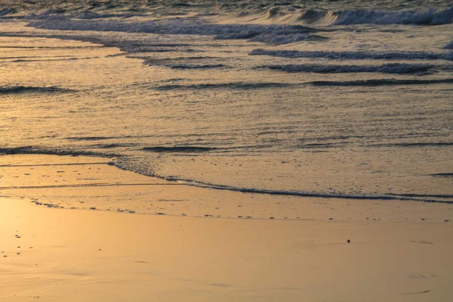 Saadiyat Public Beach