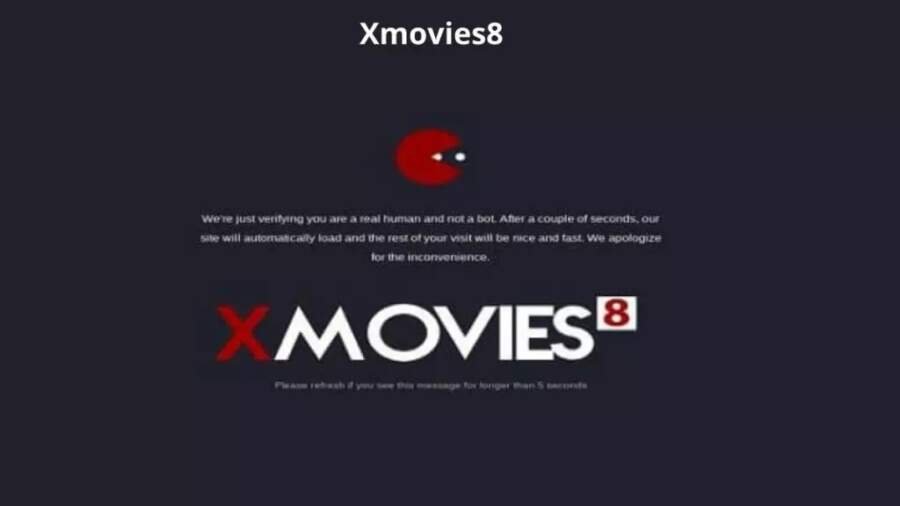 XMovies8