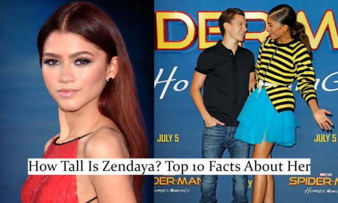 How Tall is Zendaya