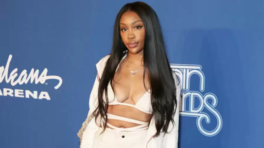 SZA Net Worth 2023: Income, Career, Earnings