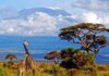 Tourist Spots in Tanzania