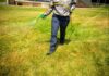 Weed Control Service