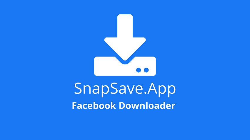 SnapSave TikTok Video Downloader