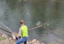 WV Trout Stocking