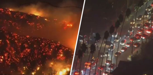 Hollywood Hills Fire