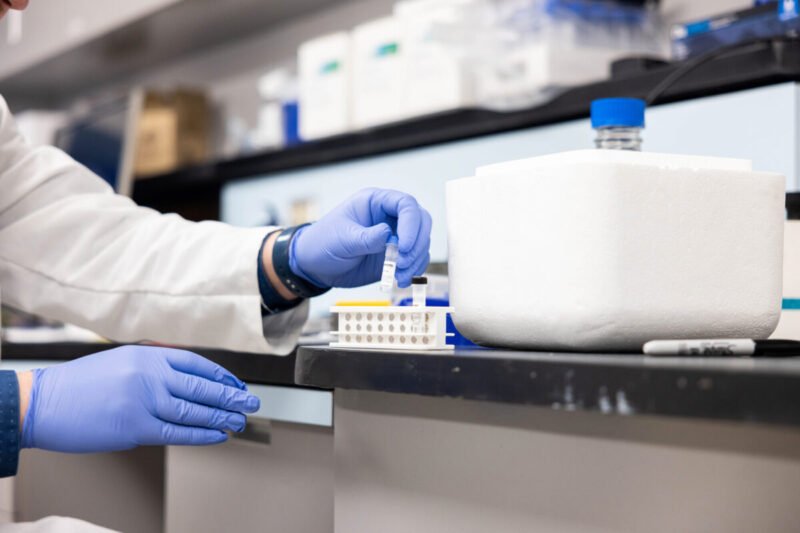 Maternal Cell Contamination Testing: How Labs Ensure Accurate Prenatal Results